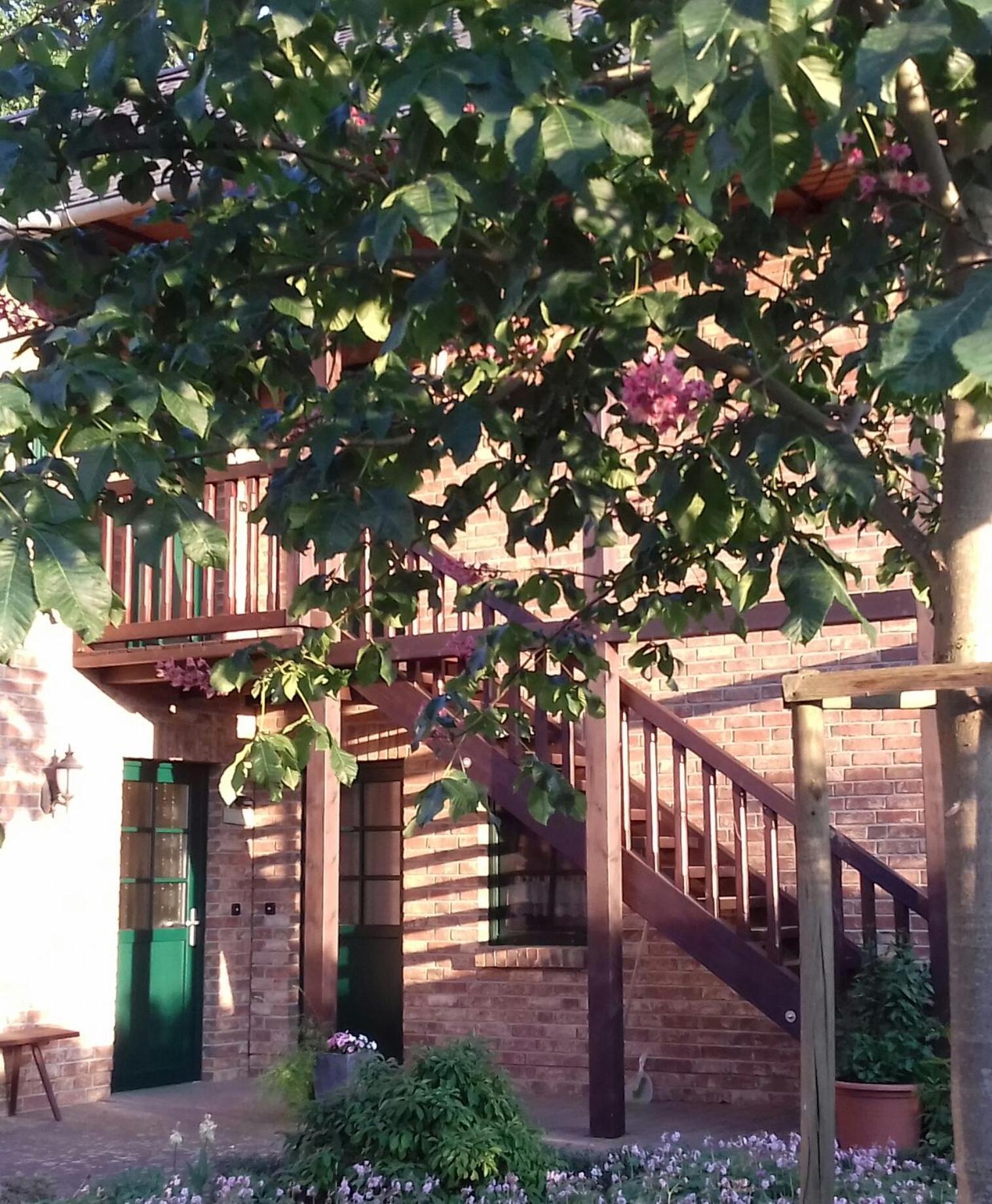Apartament Kastanienhof Burg  Zewnętrze zdjęcie